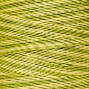 Weeks Dye Works Hand Dyed Cotton Floss 1000 -1199