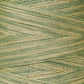 Weeks Dye Works Hand Dyed Cotton Floss 1000 -1199