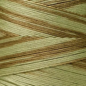 Weeks Dye Works Hand Dyed Cotton Floss 1200 -1399