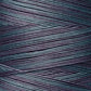 Weeks Dye Works Hand Dyed Cotton Floss 2000 -2149
