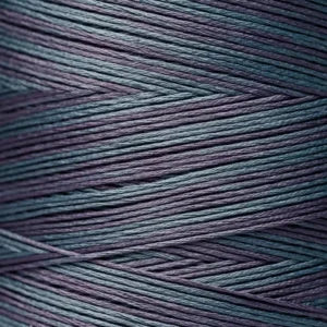Weeks Dye Works Hand Dyed Cotton Floss 2000 -2149