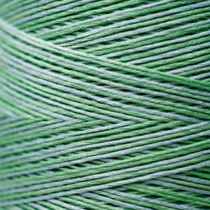 Weeks Dye Works Hand Dyed Cotton Floss 2150 -2249