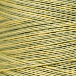 Weeks Dye Works Hand Dyed Cotton Floss 2150 -2249