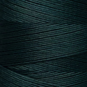 Weeks Dye Works Hand Dyed Cotton Floss 3000 -6899