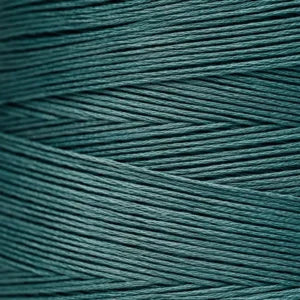 Weeks Dye Works Hand Dyed Cotton Floss 3000 -6899