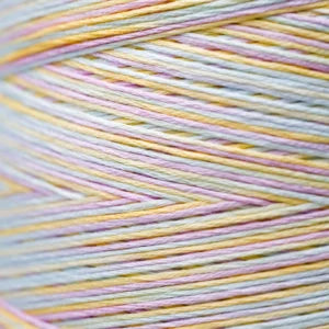 Weeks Dye Works Hand Dyed Cotton Floss 3000 -6899