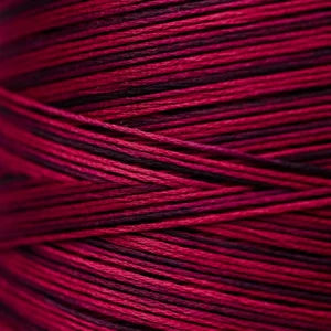 Weeks Dye Works Hand Dyed Cotton Floss 3000 -6899