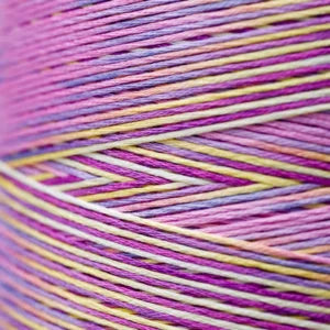 Weeks Dye Works Hand Dyed Cotton Floss 3000 -6899