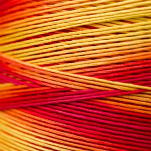 Weeks Dye Works Hand Dyed Cotton Floss 3000 -6899