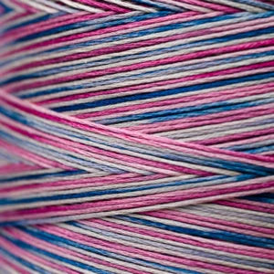 Weeks Dye Works Hand Dyed Cotton Floss 3000 -6899