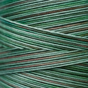 Weeks Dye Works Hand Dyed Cotton Floss 3000 -6899