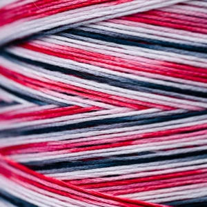 Weeks Dye Works Hand Dyed Cotton Floss 3000 -6899