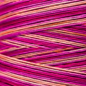 Weeks Dye Works Hand Dyed Cotton Floss 3000 -6899