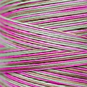 Weeks Dye Works Hand Dyed Cotton Floss 3000 -6899