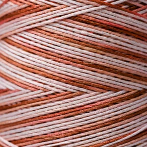 Weeks Dye Works Hand Dyed Cotton Floss 3000 -6899