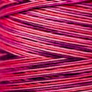 Weeks Dye Works Hand Dyed Cotton Floss 3000 -6899