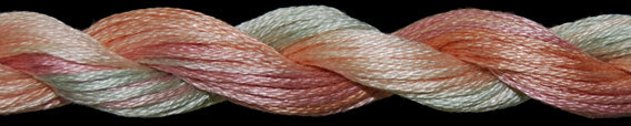 Threadworx Overdyed Floss 01100 - 01149