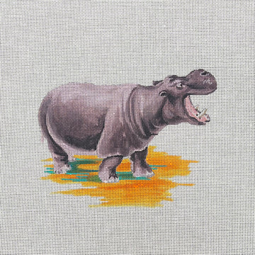 Hippo  AN492
