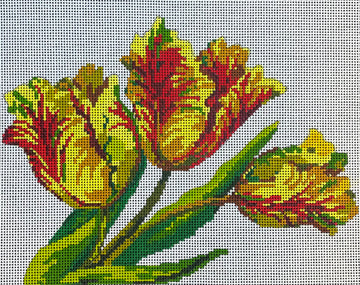 Parrot Tulips-Floral And Fruit Designs  FF261