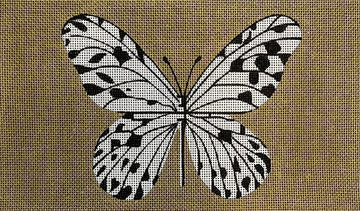 Black & White Butterfly On Gold  CL054