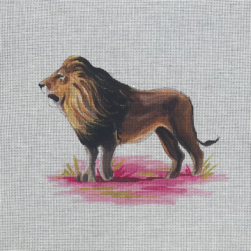 Lion  AN491