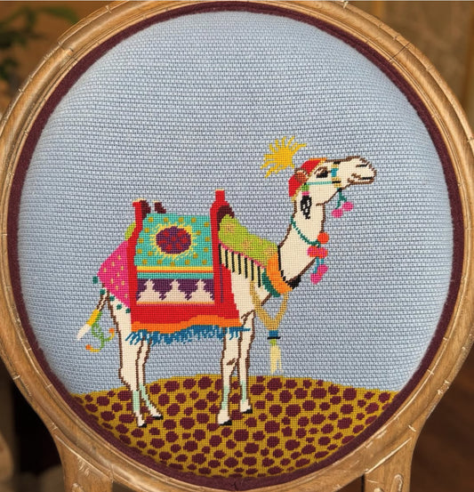 Camel  AN382