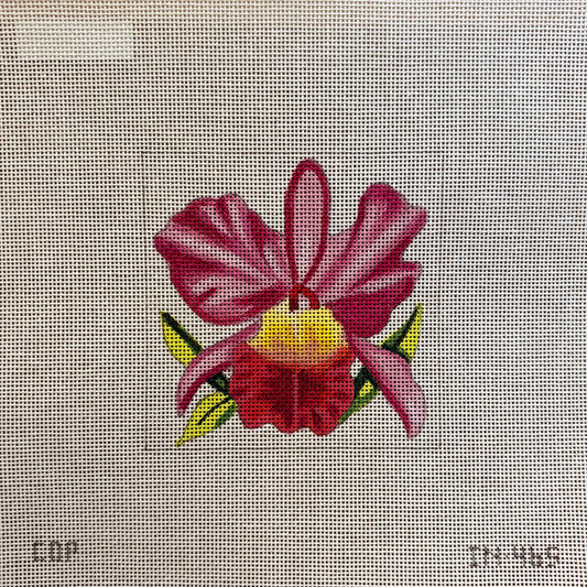 Floral Coaster  IN465