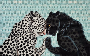 Love Leopards  CL036