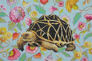 Turtle with Floral Background   AN527