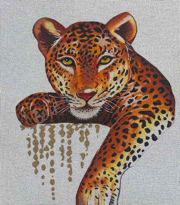 Leopard On Black Or White  AN464