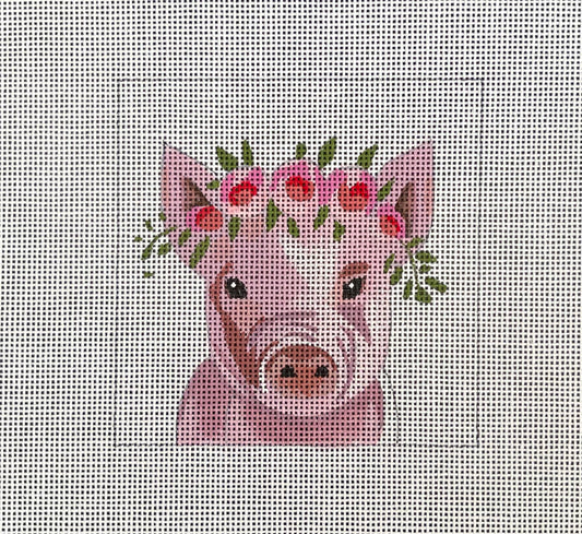 Baby Pig  IN272