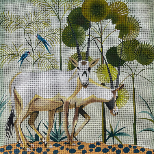 White Antelopes  AN433