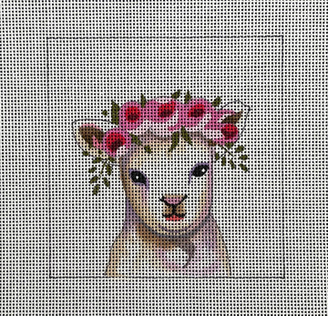 Baby Lamb  IN273