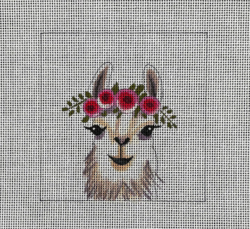 Baby Llama  IN274