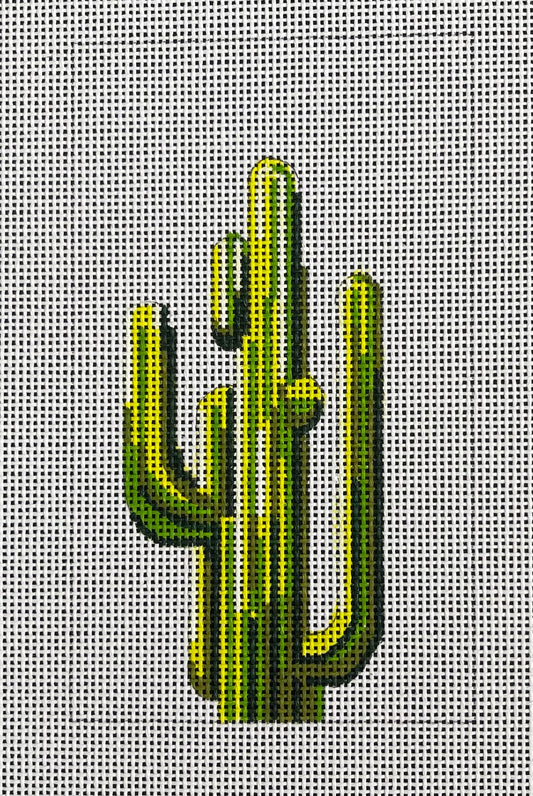 Cactus Eyeglass Case  EY232