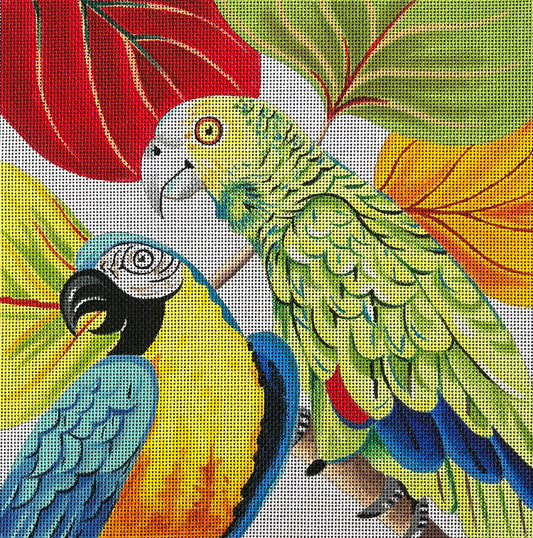 Parrots  AN313