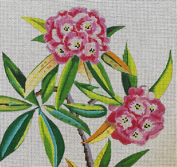 Pink-Fruit And Floral Designs  FF165