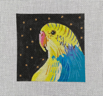 Parakeet  IN244