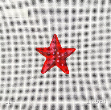 Starfish  IN560