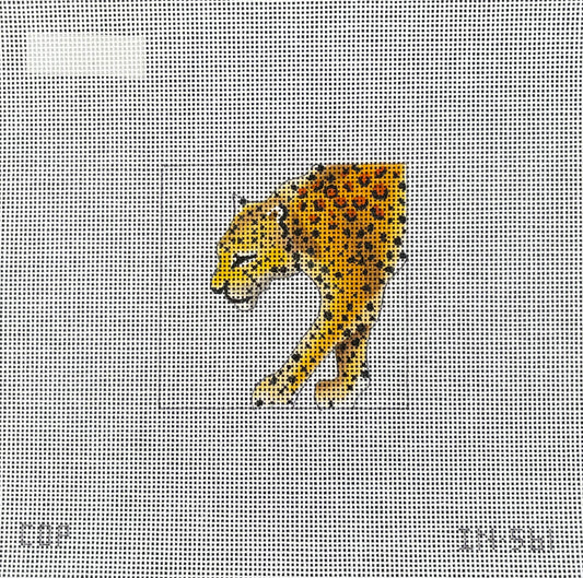 Leopard  IN561