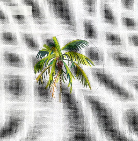 Palm Tree  IN549