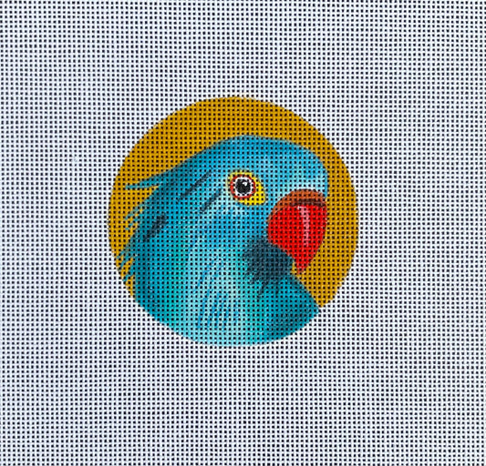 Blue Parrot  IN339