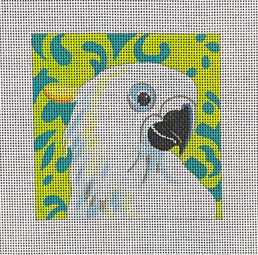 Cockatoo Coaster A  IN370A