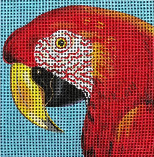 Red Parrot  AN323