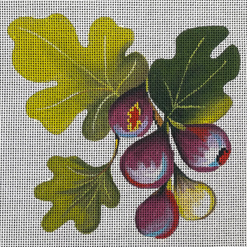 Figs  FF303
