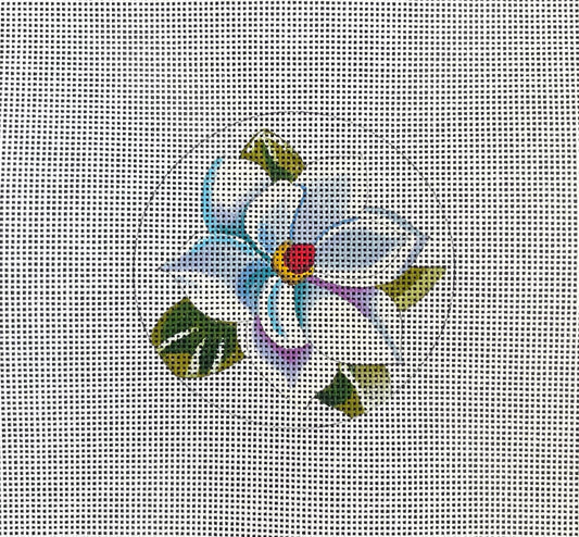 White Magnolia   IN366