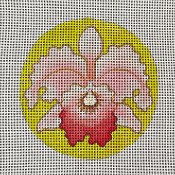 Orchid  IN807