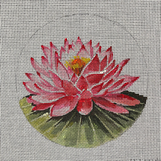 Blooming Lotus  IN813