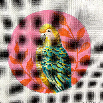 Parakeet  IN809