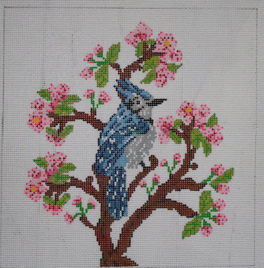Blue Jay PIL273